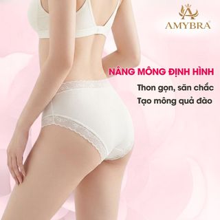 Combo 3 Quần Lót Nữ Viền Ren Hoa Gợi Cảm, Set 3 Quần Chip Nữ Đáy May 2 Lớp Kháng Khuẩn AMYBRA L519