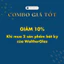 Bát, đĩa thủy tinh màu vàng hoa quả Walther-Glass