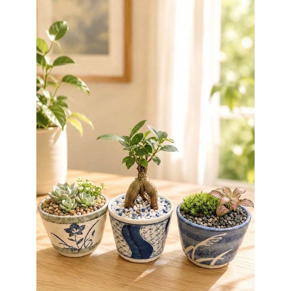 Chậu Sen Đá Mini Từ Cốc Trà Nhật Có Lỗ Thoát Nước – Chậu Gốm Sứ Decor Bàn Làm Việc Trồng Xương Rồng
