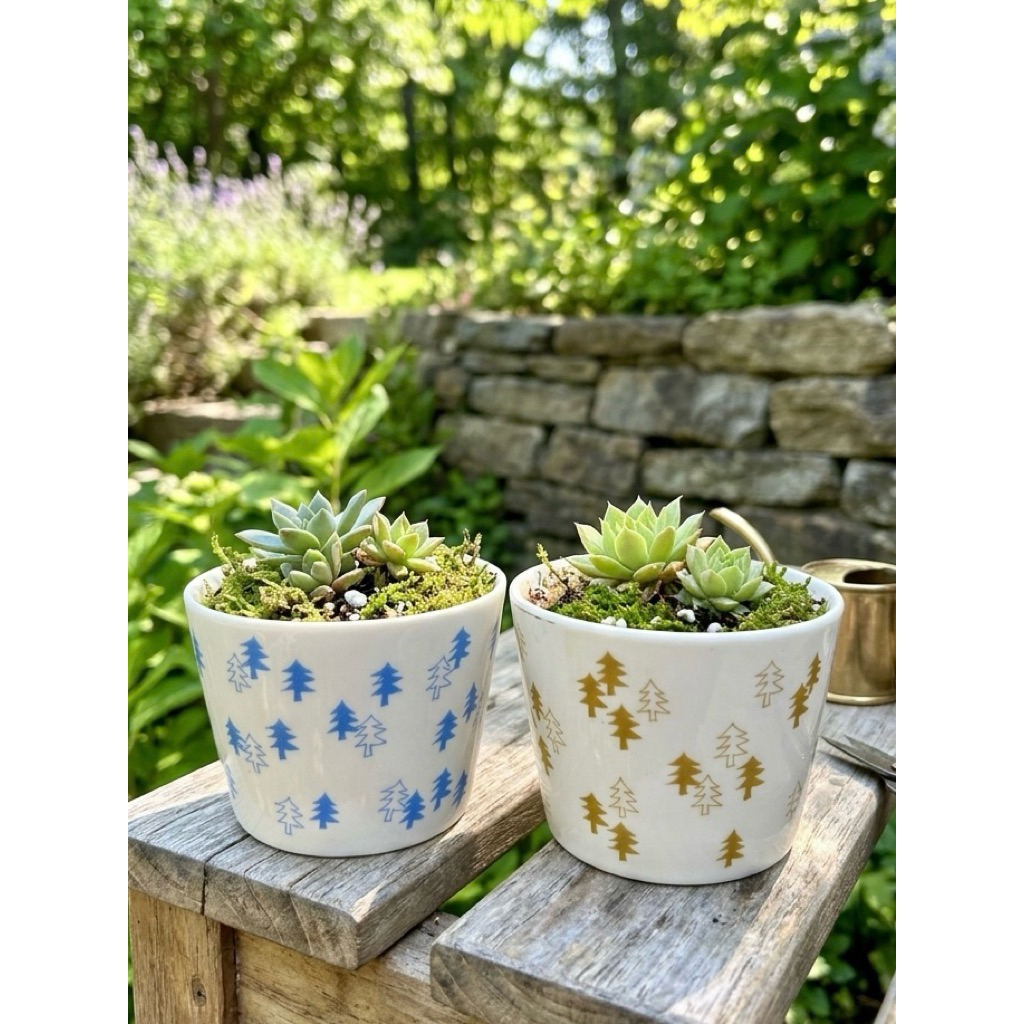 Chậu Sen Đá Mini Từ Cốc Trà Nhật Có Lỗ Thoát Nước – Chậu Gốm Sứ Decor Bàn Làm Việc Trồng Xương Rồng