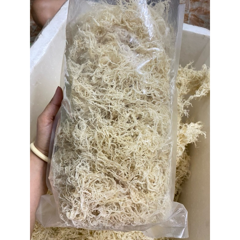 Rong sụn gai khô cứng - Rong sụn khô 7 nắng dùng làm gỏi, nấu chè