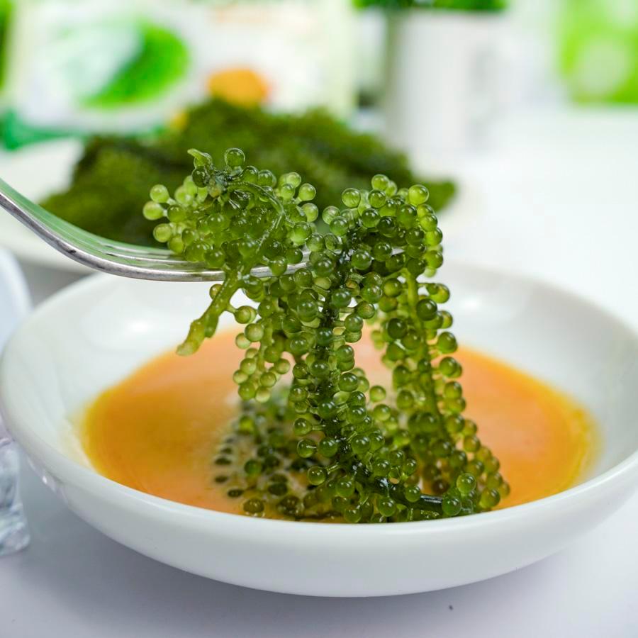 Rong Nho TASAMI Kèm Sốt Phô Mai Cay - Hộp 175g - Hàng Việt Nam Chất Lượng Cao