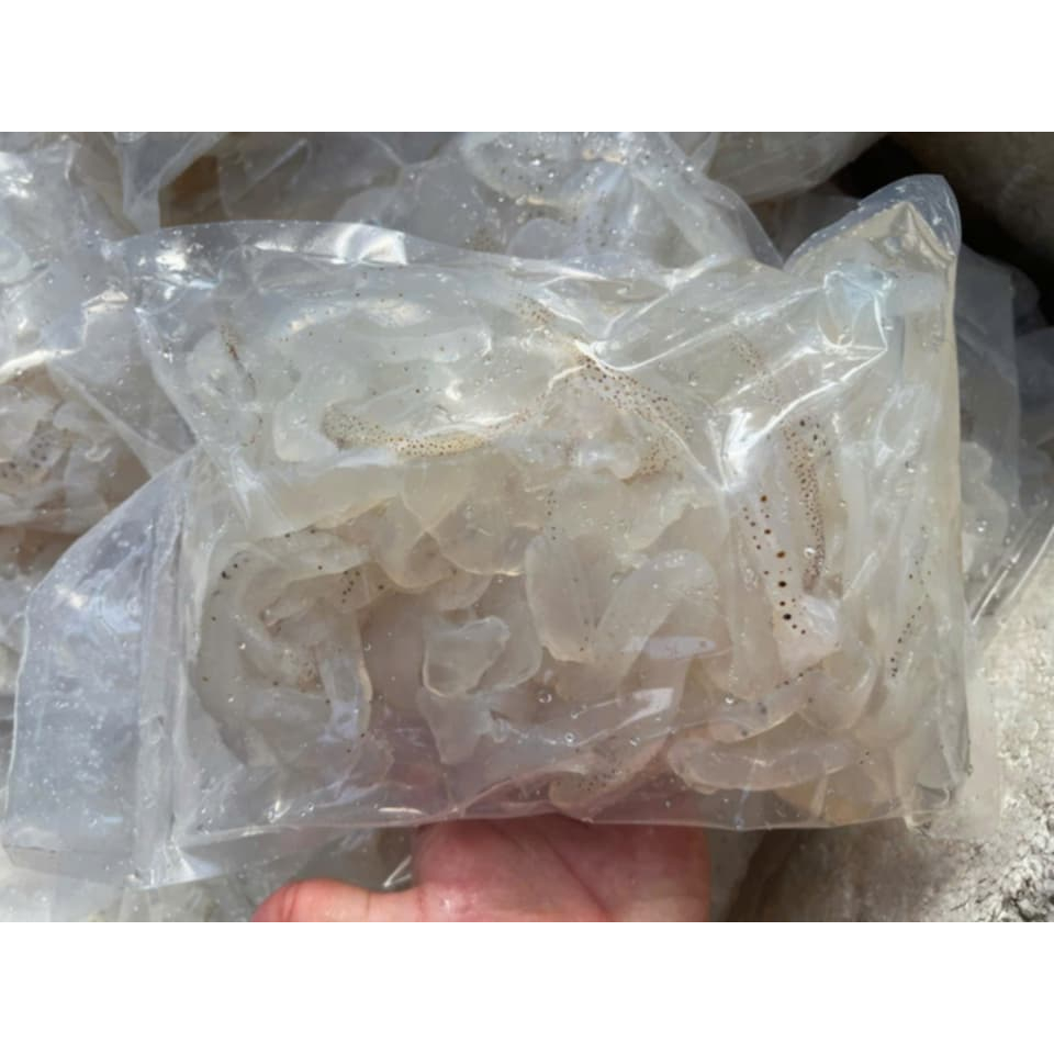 Túi 1kg thân sứa mặn - Sứa muối mặn chưa xả