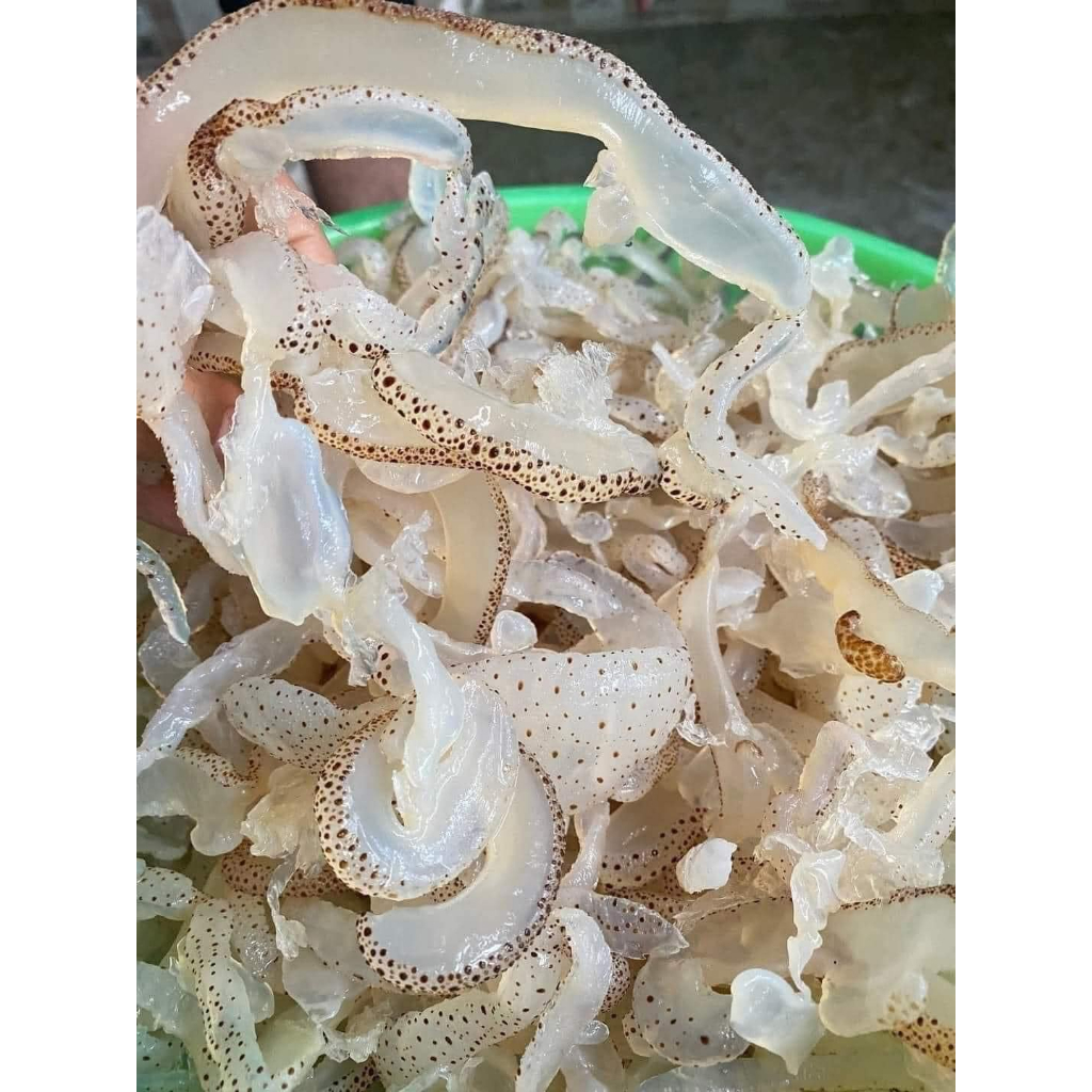 Túi 1kg thân sứa mặn - Sứa muối mặn chưa xả