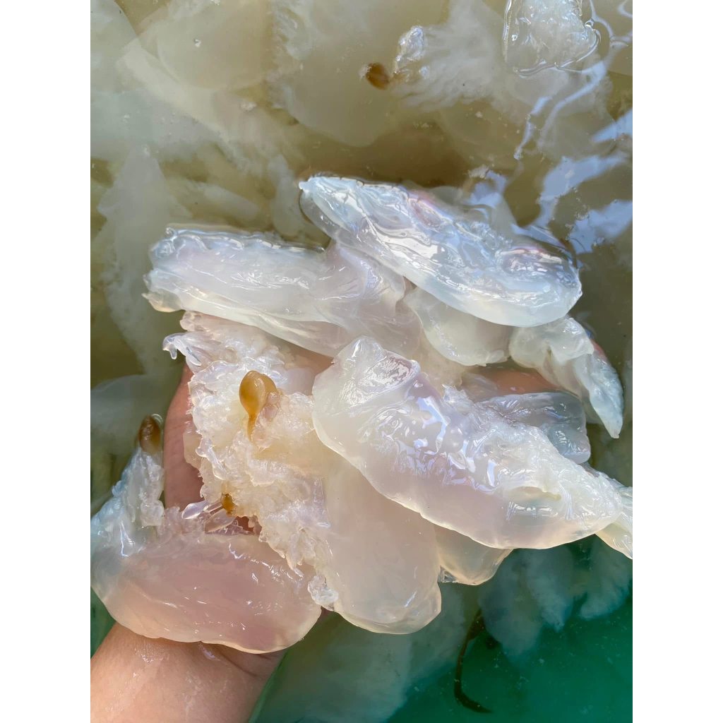Túi chân sứa 1kg dùng ăn liền - sứa đã xả mặn ship hoả tốc HCM