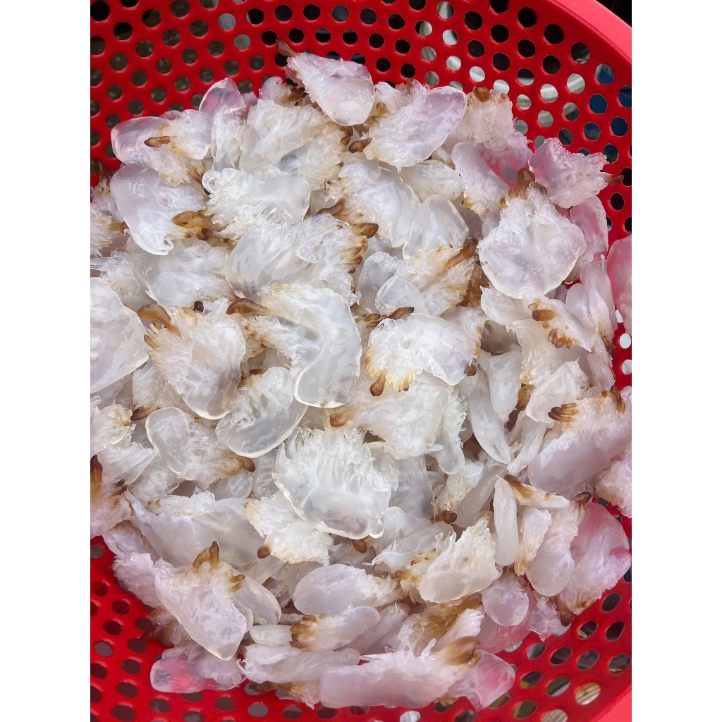 Túi chân sứa 1kg dùng ăn liền - sứa đã xả mặn ship hoả tốc HCM