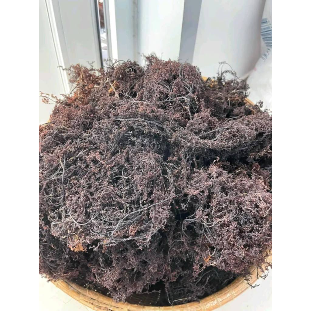 Túi 1kg rong mơ nấu nước sâm, nước mát giải khát, thanh nhiệt