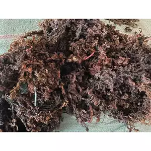 Túi 1kg rong mơ nấu nước sâm, nước mát giải khát, thanh nhiệt
