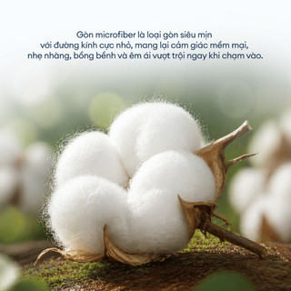 Ruột Gối Nằm Soft Feel NIN House | 70x50cm | Êm Ái Và Đàn Hồi Tốt, Thích Hợp Cho Người Nằm Thấp