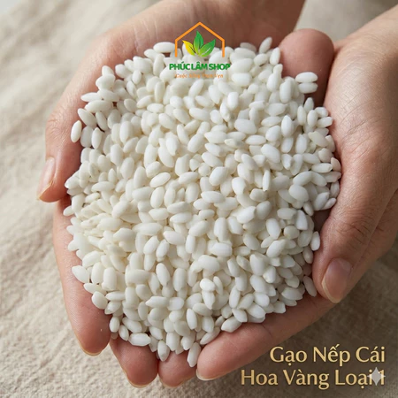 Gạo nếp cái hoa vàng Phúc Lâm loại 1, gạo nếp ngon thơm dẻo chuyên đồ xôi, làm cốm, làm bánh