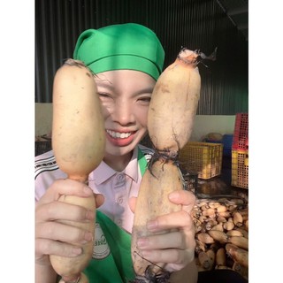 Trà củ sen nguyên chất BeaHea 450g - Trà Sen VietGAP | Hỗ trợ an thần, bổ phổi, Thanh Nhiệt