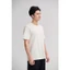 Áo thun Tshirt nam Regular Fit 100% Cotton 180gsm mềm mại, chất mát, thoáng khí, co giãn Coolmate