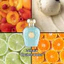 Nước Hoa Lattafa Opulent Dubai EDP 100ml