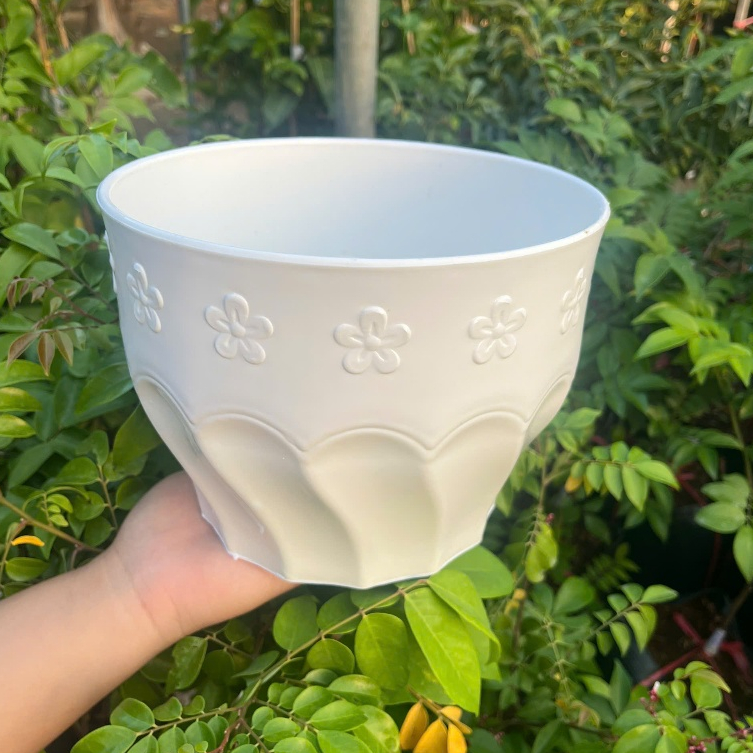 Chậu Xoắn Bông Mai Kimbiofarm – Chậu Nhựa Cao Cấp Trồng Cây Cảnh, Bonsai, Thoát Nước Tốt