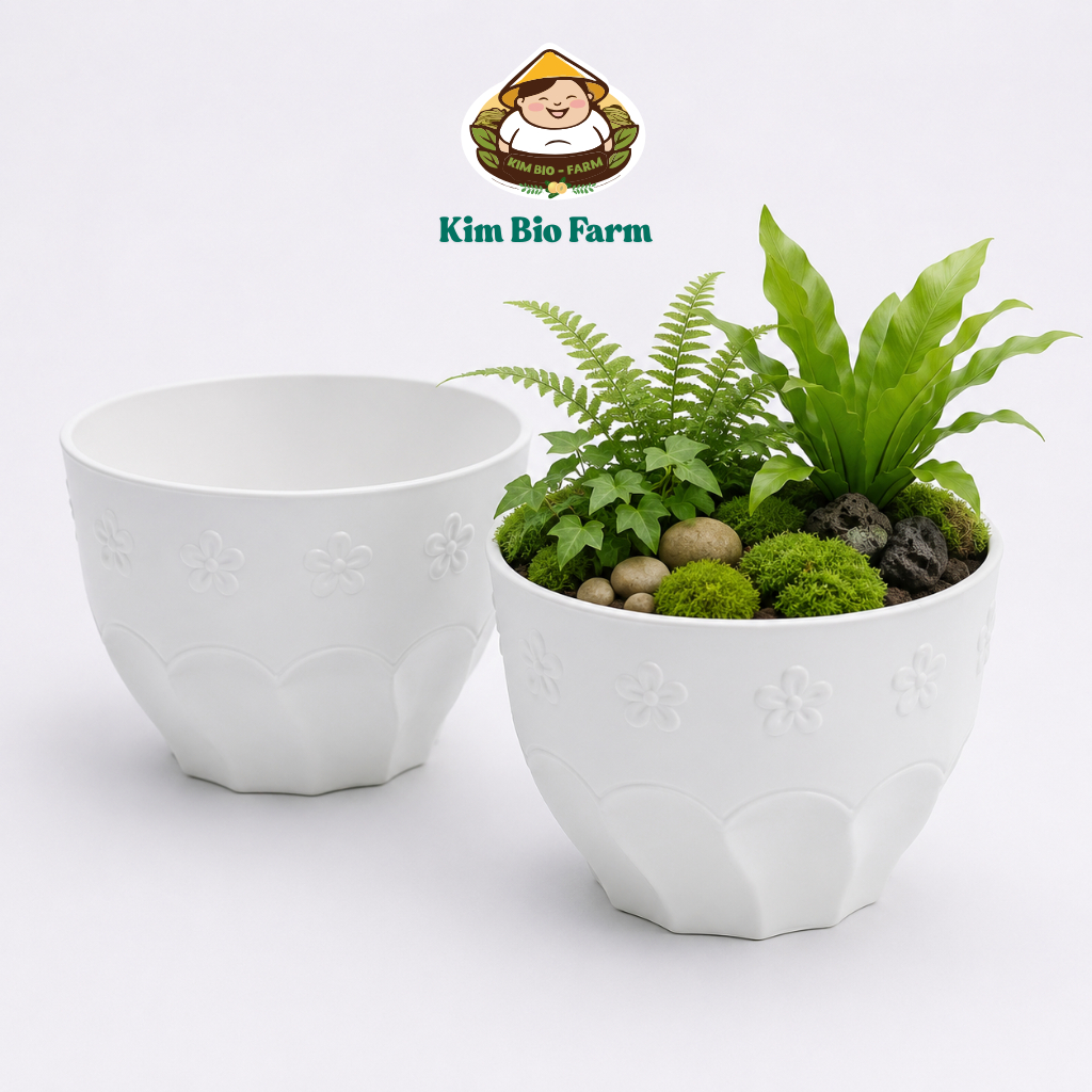 Chậu Xoắn Bông Mai Kimbiofarm – Chậu Nhựa Cao Cấp Trồng Cây Cảnh, Bonsai, Thoát Nước Tốt