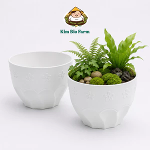 Chậu Xoắn Bông Mai Kimbiofarm – Chậu Nhựa Cao Cấp Trồng Cây Cảnh, Bonsai, Thoát Nước Tốt