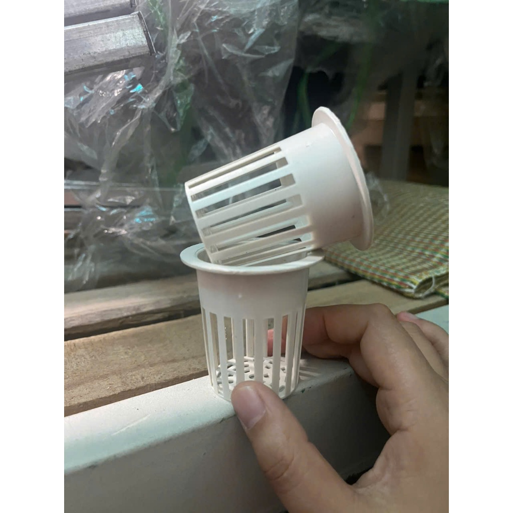Combo 50 rọ nhựa trồng rau thủy canh