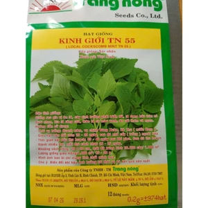 Hạt Giống Rau Kinh Giới gói 0,2gr, Rau Ăn Lá Trang Nông TN 55, Hạt Nảy Mầm Nhanh, Mạnh
