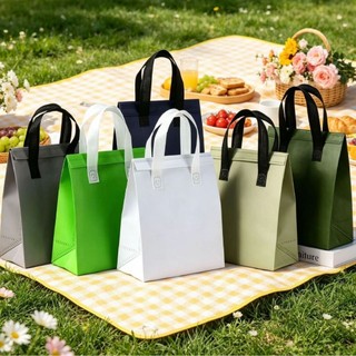 Combo 2 Túi Vải Không Dệt Giữ Nhiệt B30 Túi Đựng Đồ Ăn Bình Nước Bảo Vệ Môi Trường/ Túi Bảo Quản Hộp Cơm