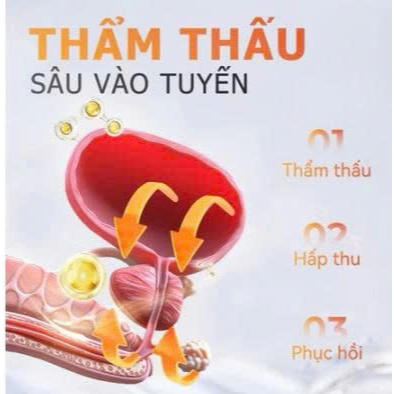 Greenvibes Moisturizing Prostate Gel Hỗ Trợ Tuyến Tiền Liệt Nam Giới, Giảm Mệt Mỏi, Giảm Đau Chăm Sóc Hàng Ngày 20g    🔹
