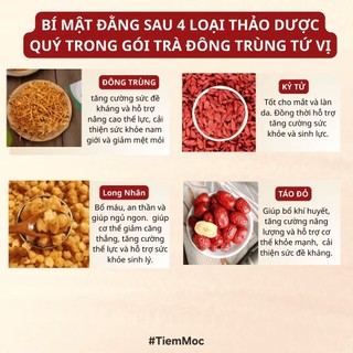 [Mới] TRÀ ĐÔNG TRÙNG TỨ VỊ – BỔ DƯỠNG TINH NHẸ, KHỎE TỪ BÊN TRONG