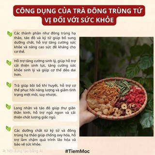 [Mới] TRÀ ĐÔNG TRÙNG TỨ VỊ – BỔ DƯỠNG TINH NHẸ, KHỎE TỪ BÊN TRONG