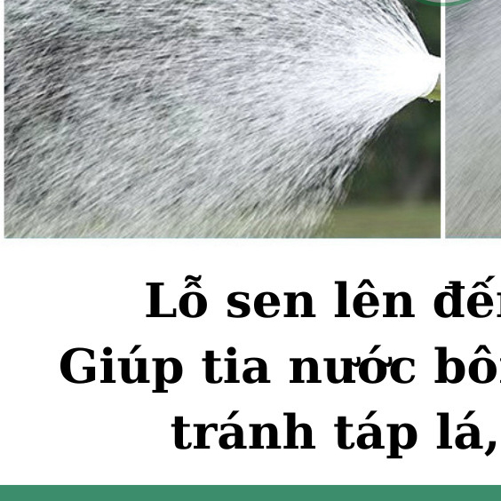 Vòi sen tưới cây 1000 lỗ chuyên cho rau, lan và hoa cây cảnh 03