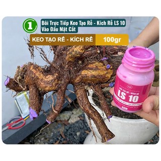 Keo Tạo Rễ Kích Rễ LS10 GreenHome, 100g – Ra Rễ Nhanh, Rễ Trắng Khỏe - Giâm Hom, Chiết Cành, Bonsai
