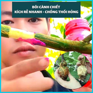 Keo Tạo Rễ Kích Rễ LS10 GreenHome, 100g – Ra Rễ Nhanh, Rễ Trắng Khỏe - Giâm Hom, Chiết Cành, Bonsai