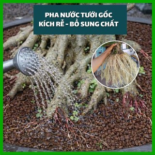 Keo Tạo Rễ Kích Rễ LS10 GreenHome, 100g – Ra Rễ Nhanh, Rễ Trắng Khỏe - Giâm Hom, Chiết Cành, Bonsai