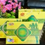 Combo 10 hộp Bánh Đậu Xanh Quê Hương Ăn Kiêng 380g, 180g– Đặc Sản Hải Dương, Ngọt Thanh Không Béo, Tan Mịn Hộp 24,12thỏi