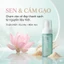 Combo 2 Chai Toner Tạo Bọt SEONSU Bubbly Ampoule Toner 150ml BHA B5 HA 4D