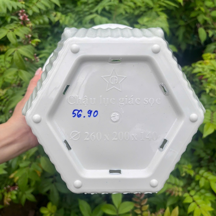 Chậu Cây Lục Giác Sọc Nhựa Dày Cao Cấp Kimbiofarm – Chậu Trồng Cây Trang Trí Bền Đẹp, Thoát Nước Tốt