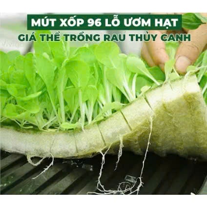 Mút Ươm Hạt Thủy Canh Trồng Rau – Xốp Gieo Hạt Giữ Ẩm Tốt – 96 Viên