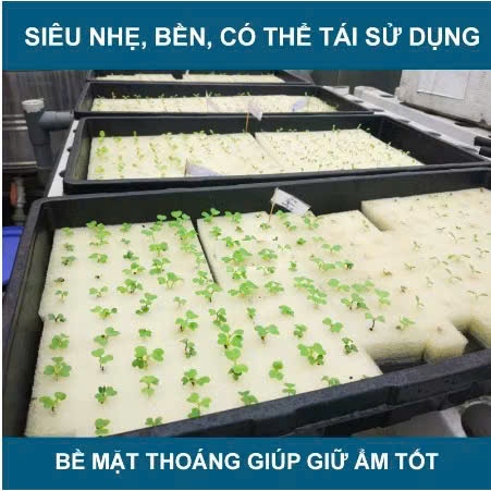 Mút Ươm Hạt Thủy Canh Trồng Rau – Xốp Gieo Hạt Giữ Ẩm Tốt – 96 Viên