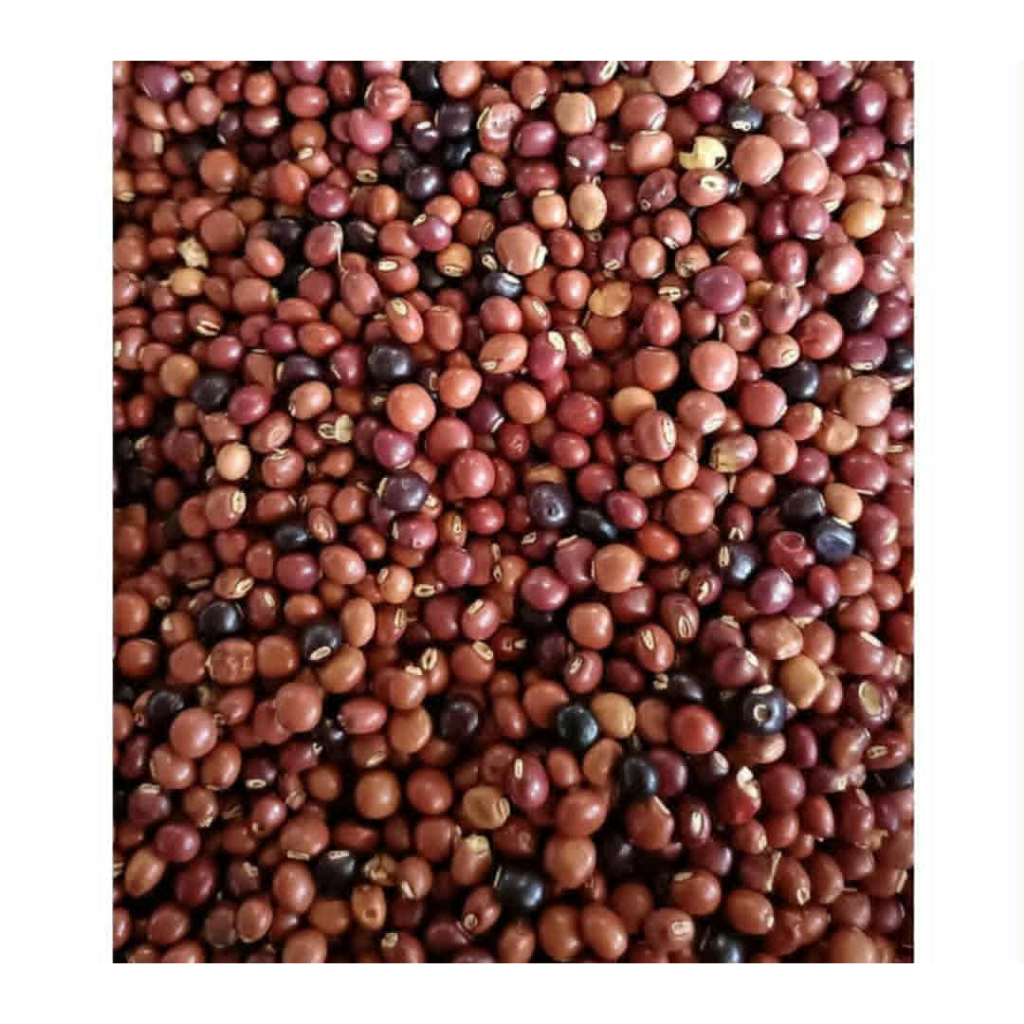 Hạt Đậu Săng Khô – Đặc Sản Rừng, Bùi Béo Tự Nhiên 500gr/1kg