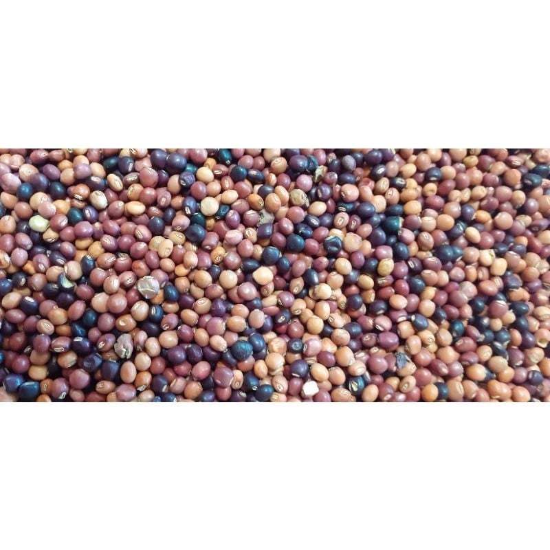Hạt Đậu Săng Khô – Đặc Sản Rừng, Bùi Béo Tự Nhiên 500gr/1kg