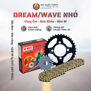 Nhông Sên Dĩa Giá Rẻ: Dĩa Đen + Sên Vàng 428H 10 Ly (14T-36T-102L) – Dream / Wave Nhỏ