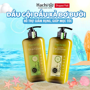Dầu Gội, Xả thiên nhiên chiết xuất bơ bưởi dành cho tóc gãy rụng Hachi Regenerating