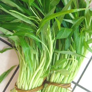Hạt giống rau muống lá tre ăn giòn, ngon- Kangkong Seeds - 50viên