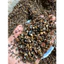 Sạn Suối TỰ Nhiên SIZE bé Thủy Sinh Biotope Trải Nền Trang Trí Bể Cá Giá Siêu Rẻ. ...