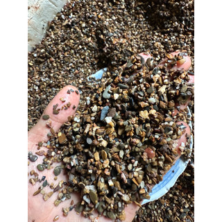 1kg Sạn suối sạch Freesize khai thác tự nhiên dùng trải nền bể cá thuỷ sinh phong cách Biotop.