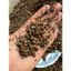 Sạn Suối TỰ Nhiên SIZE bé Thủy Sinh Biotope Trải Nền Trang Trí Bể Cá Giá Siêu Rẻ. ...