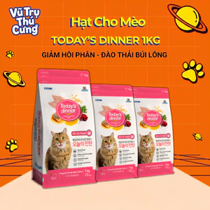 Thức Ăn Hạt Today Dinner Cho Mèo Mọi Lứa Tuổi