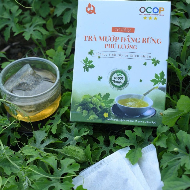 Trà Khổ qua rừng Phú Lương OCOP 3sao Đắng nguyên vị - Hỗ trợ Huyết áp cao, Tiểu đường, Mỡ máu cao