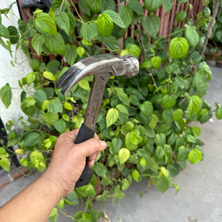 Búa Nhổ Đinh Millwaukii - Hàng Bãi Tuyển Đẹp - Hàng Chất Lượng Cứng Cáp