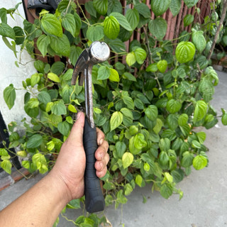 Búa Nhổ Đinh Millwaukii - Hàng Bãi Tuyển Đẹp - Hàng Chất Lượng Cứng Cáp