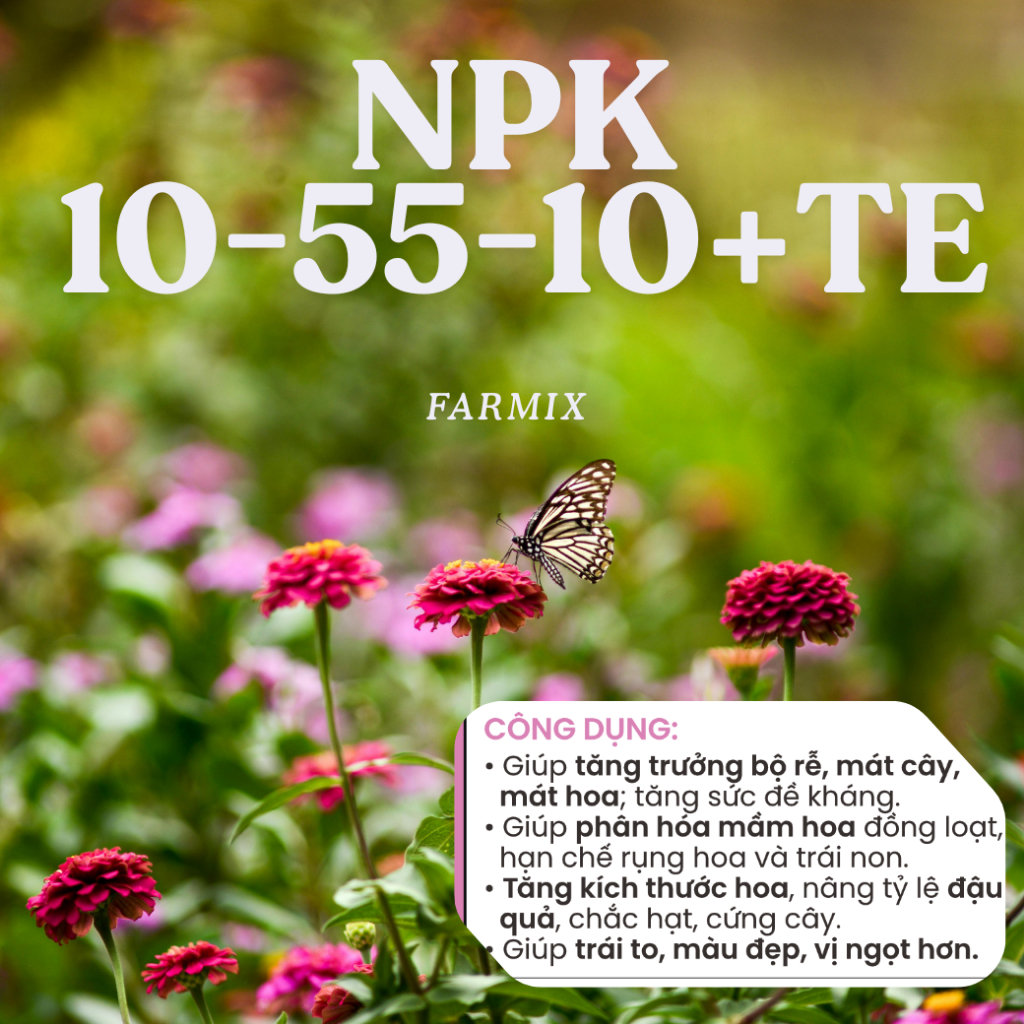 🌸 NPK 10-55-10+TE Farmix 100gram – Kích Nụ Nhanh, Hoa Đồng Loạt, Rễ Khỏe