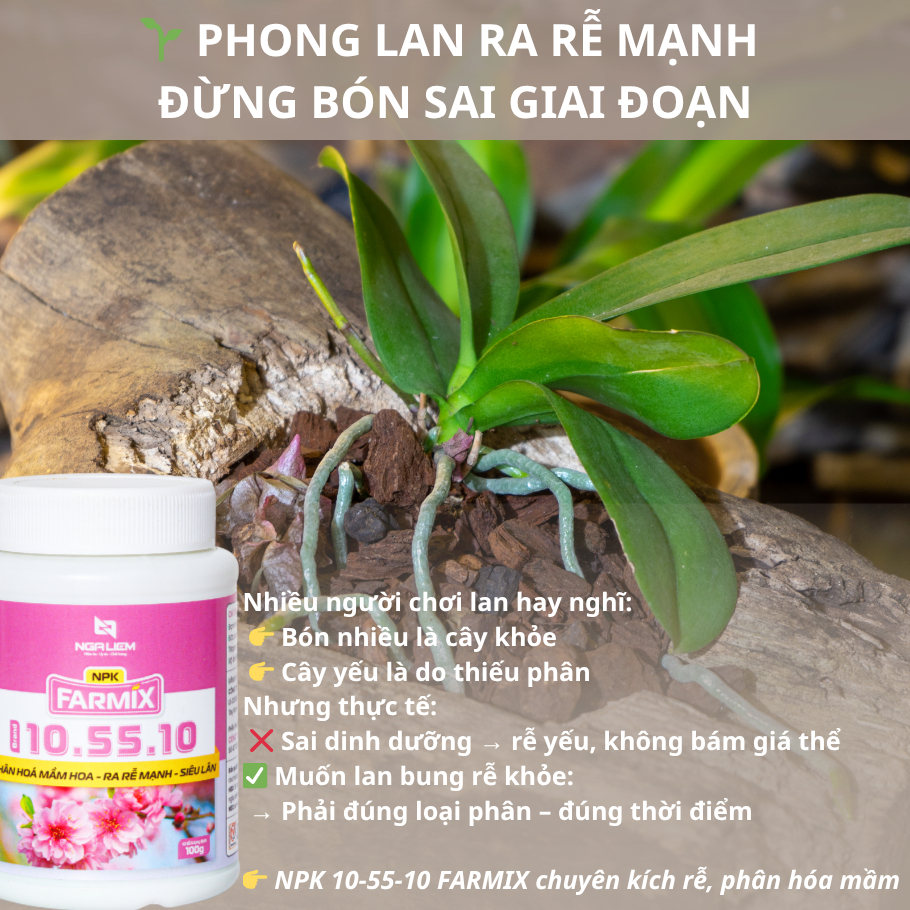 🌸 NPK 10-55-10+TE Farmix 100gram – Kích Nụ Nhanh, Hoa Đồng Loạt, Rễ Khỏe