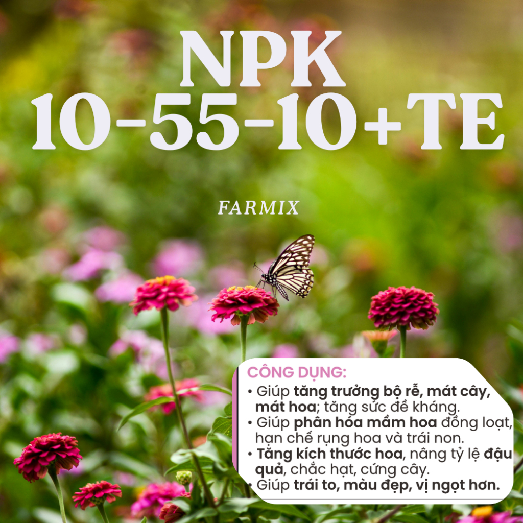 🌸 NPK 10-55-10+TE Farmix 50gram – Kích Hoa Nhanh, Nở Đồng Loạt, Đậu Trái Tốt